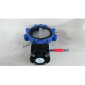 Worm Gear Lugged Butterfly Valve